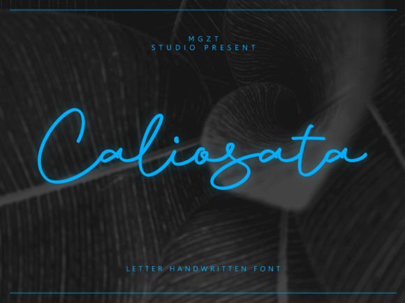 Caliosata: A Font That Elevates Your Brand