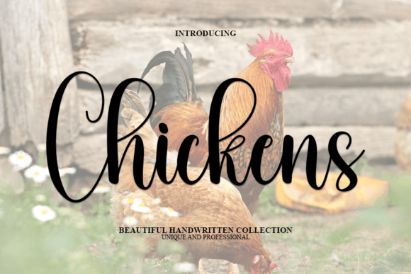 Chickens: A Font That Adds Personality to Your Business