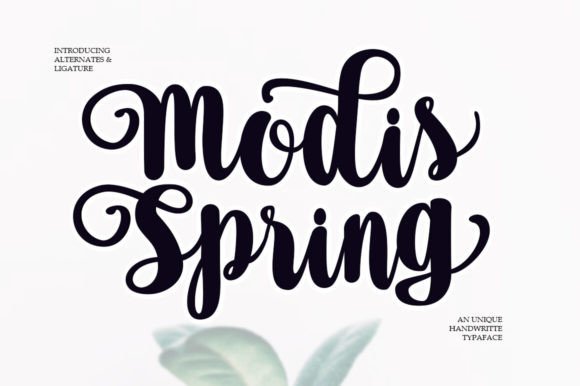 Modis Spring: A Flowing Script for Editorial Design